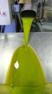 olio-d'oliva-estrazione