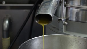 produzione-olio-d'oliva